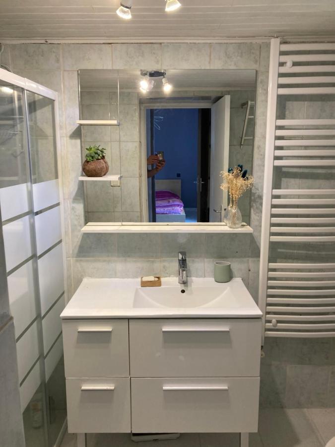 Gite Cosy 25 Min Lyon Vienne St Etienne Longes 外观 照片